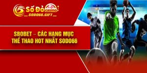 Sbobet – Các Hạng Mục Thể Thao Hot Nhất Sodo66